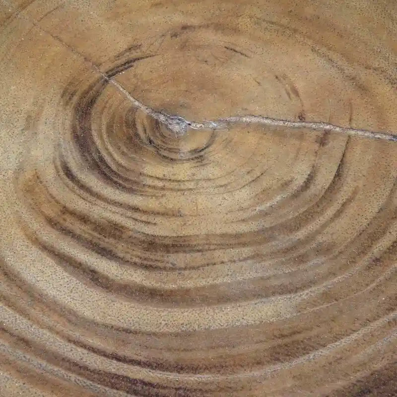 Natural Solid Acacia Wood Round End Table, Coastal Style, 12.5W x 18H in