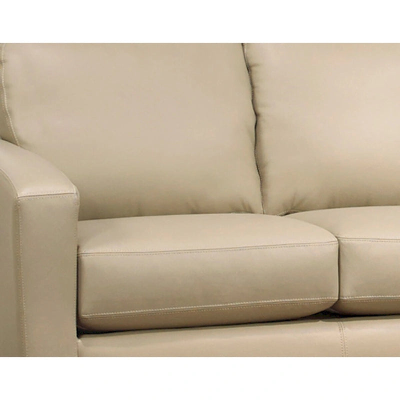 Italian Top Grain Leather Upholstered Transitional Sofa