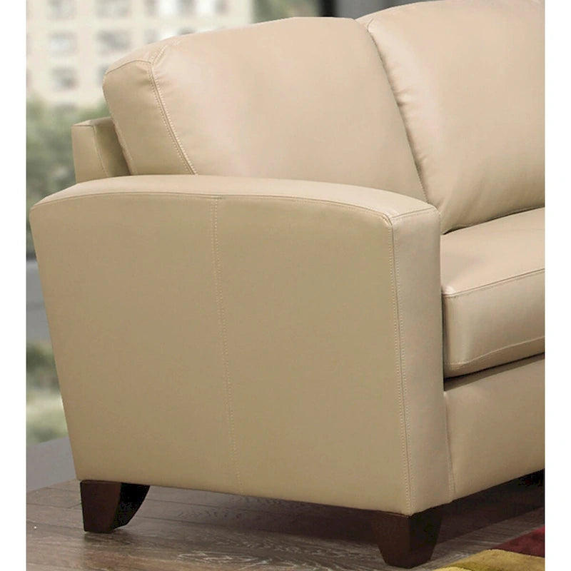 Italian Top Grain Leather Upholstered Transitional Sofa